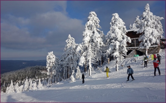 Auf dem Wurmberg im Harz