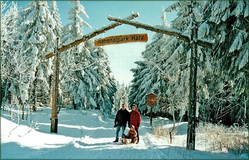 Harz im Winter